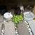 Dwarf Rabbit 7 thumbnail