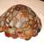 Agate Slice Tiffany Style Ceiling Fixture 4 thumbnail