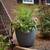 Southern Patio Monzonite Metro Planter 2-pack 3 thumbnail