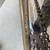 Redline Vintage 24” John Purse Signature Model BMX Cruiser Bike 3 thumbnail