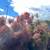Basic landscaping, Mowing painting 14 thumbnail
