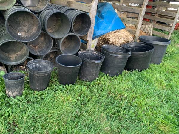 I will recycle your black poly pots ... 1 gallon through 20 gallon 1