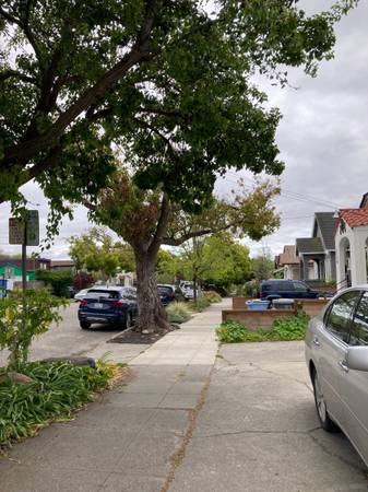$2,395 / 2br - Lovely 2 BR apartment in Central Berkeley AVL NOW walk to BART (berkeley)63873440919425121