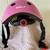 Kids Bike Helmet, Adjustable Multi-Sport Toddler to Youth 5 thumbnail