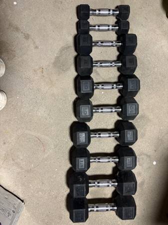 Hex Dumbbells - for fitness/exercise 1