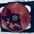 2001 UK 2 CD Classic Country Stars 4 thumbnail