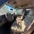 🔥 2002 FORD EXCURSION 6.8L PARTING OUT 7 thumbnail