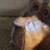 Big Sky Carvers Wood Purdy Dog 3 thumbnail
