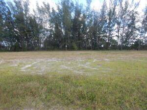 Several Single Home Lots for sale in Florida 1