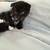 Tuxedo Scottish Fold 3 thumbnail