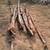 Cedar fence poles / fence posts. 2 thumbnail