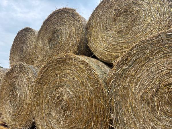 straw 1