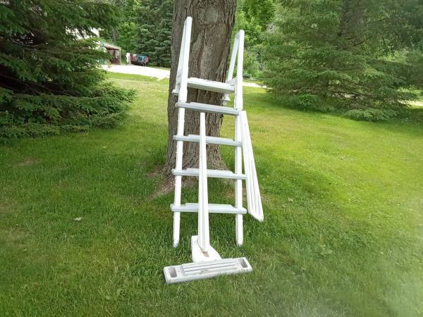 Pool ladder 1