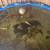 Complete Koi Pond with fish and pool 1 thumbnail