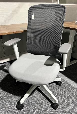 Gray Ergonomic Task Chair 1