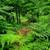 Mountain Retreat 2.6 Acres With 3/2 home 9 thumbnail