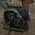 Mini bike parts 1 thumbnail