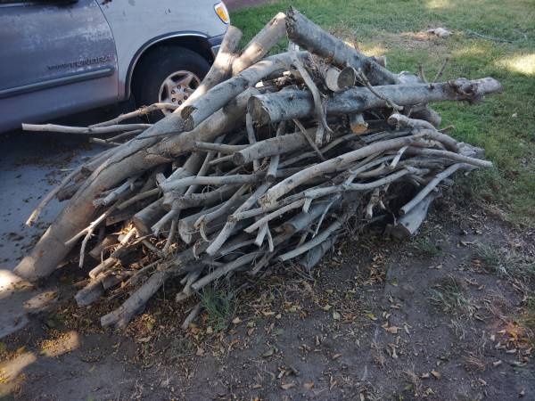 Firewood 1