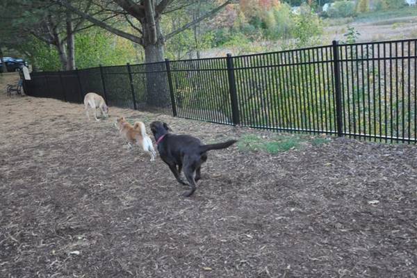 $2,490 / 2br - 875ft2 - 24 Hour Fitness Center, Dog Park, Dishwasher (42 Wolf Rd, Lebanon, NH, USA, Lebanon, NH)63932057915011123