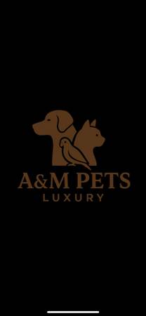 Pet Boarding and Training64027978681729120