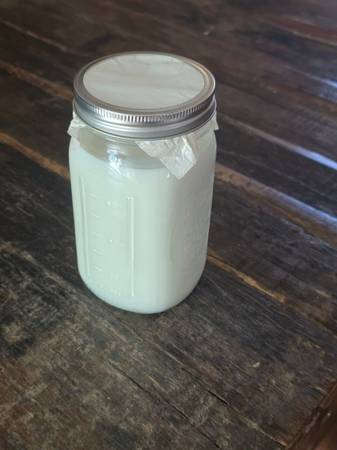 Kefir starter kit 1