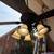 Elegant Ceiling Fan/Light Fixture 3 thumbnail