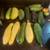 Cucumber 🥒,  tomatoes 🍅, squash, zucchini 1 thumbnail