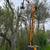Packer Tree Service 5 thumbnail