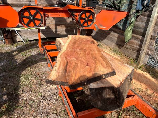 SLABS, Live Edge, many sizes, many species, desk. mantle. 1