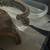 Male ball python, 5 years — free; optional cage $200 — Moraga 3 thumbnail
