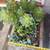 MEDIUM modern rectangular cement gray OUTDOOR pot/ planter 3 thumbnail