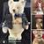Dozens of collectable Bears 15 thumbnail