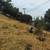 🏡 GRASSCUT YARDWORK 🌿👷🏼🏡 💳 $55 18 thumbnail
