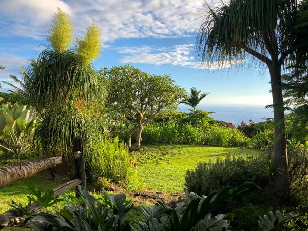 $1500.00 / 1br - Private cabin for One Person, No Pets @ Hawaiian Retreat with shared k63939661999235122