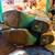 Selling many household items 22 thumbnail