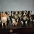 Sheltie or Collie stuffed animals plus figurines good 7 thumbnail