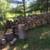 Tree Stumps / Firewood 1 thumbnail