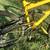 🚴🚴 BRAND NEW 🚴🚴.......Gravity  aluminum full suspens .. .100% perf 3 thumbnail