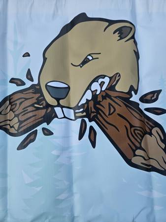 split pine cords firewood 1