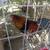 Roosters chickens 3 thumbnail