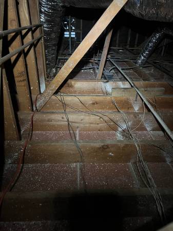 CRAWL SPACE CLEAN UP (Pasadena) 1