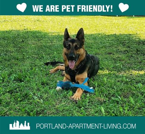 Squeaky Clean & Pet Friendly @ Lancaster Park! Tour Now! 1