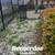 Landscaping and maintenance services (SONOMA COUNTY) 9 thumbnail