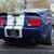 2008 Ford Mustang Shelby GT500 Cobra V8 / 6-Speed Manual / 826 Miles 8 thumbnail