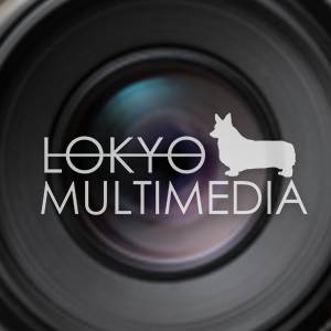 assistant photographer/videographer 1