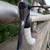 Pearl White Trek Madone 5.2 Full Carbon Road Bike, Handbuilt in the US 15 thumbnail