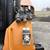 Skid Steer LOW HOUR CASE SR240B Closed Cab Skid Steer 9 thumbnail