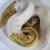 Pie bald python 1 thumbnail
