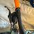 Surly Wednesday fat bike new condition 9 thumbnail