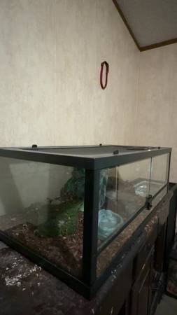 Ball Python and Enclosure 1